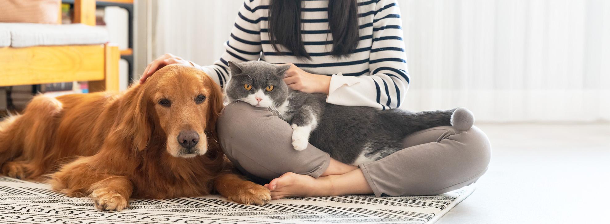 NexFamily-NexGard-ปกป้องน้องหมาและน้องแมว ​