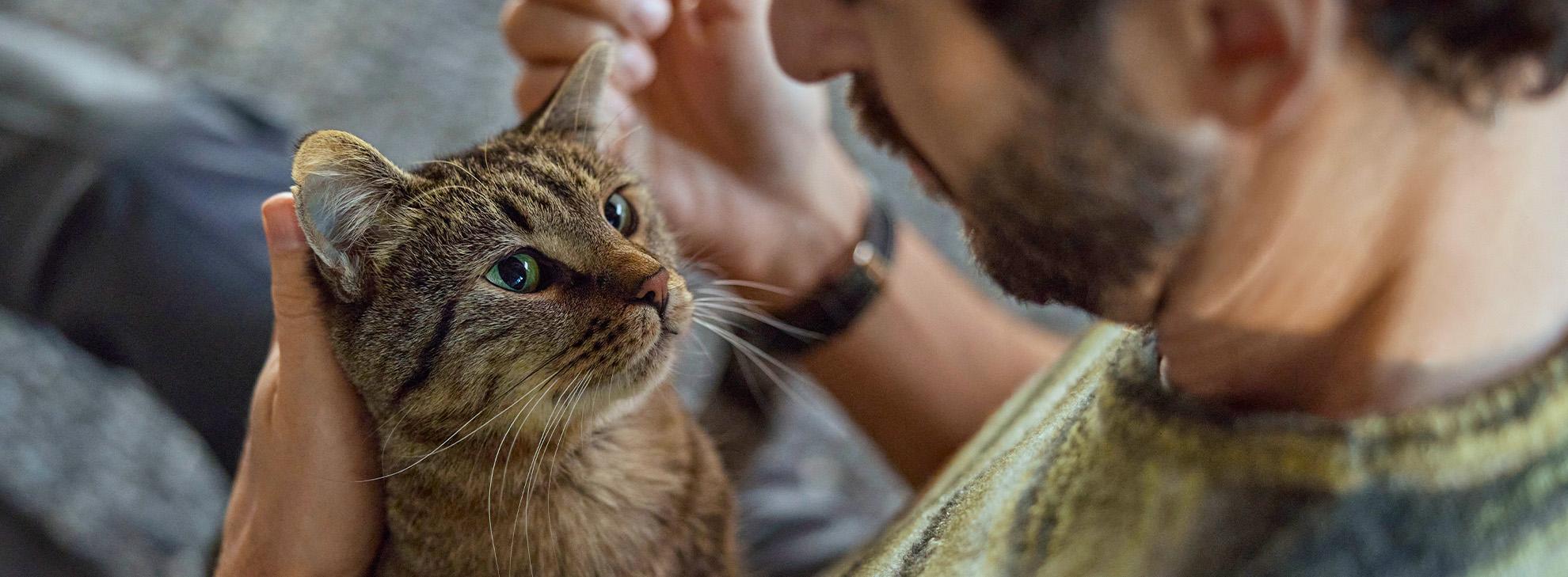 NexFamily-NexGard-น้องเเมว NextCOMBOCat-เช็กความเสี่ยง