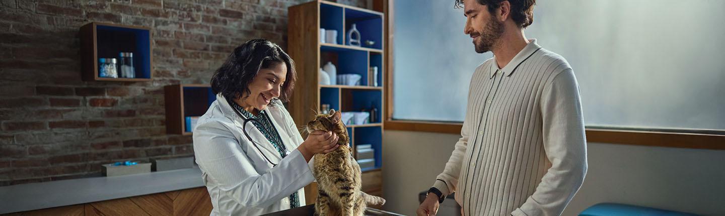 doc for cat
