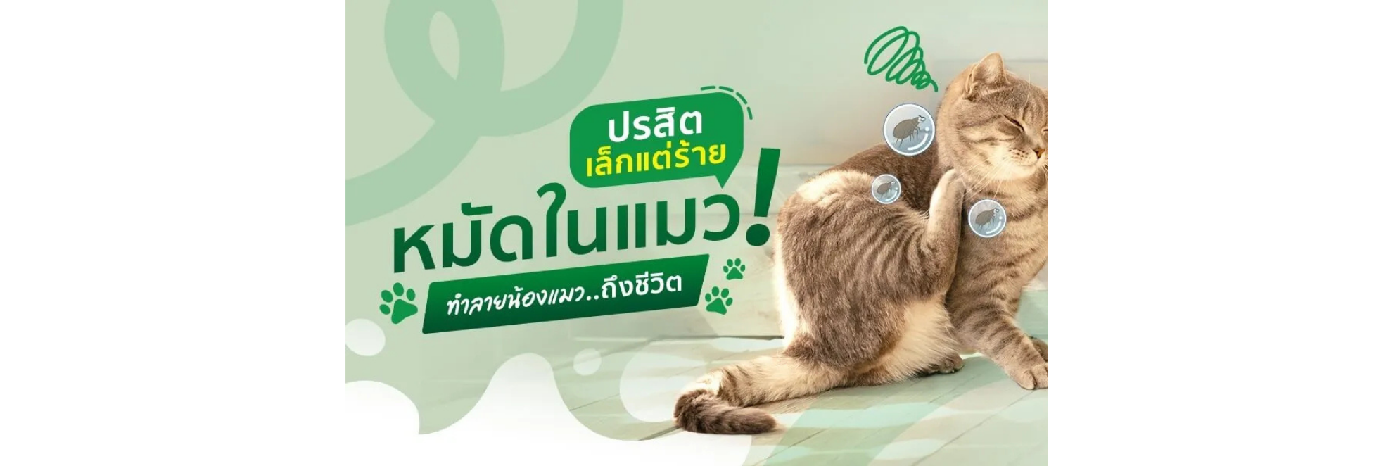 หมัด