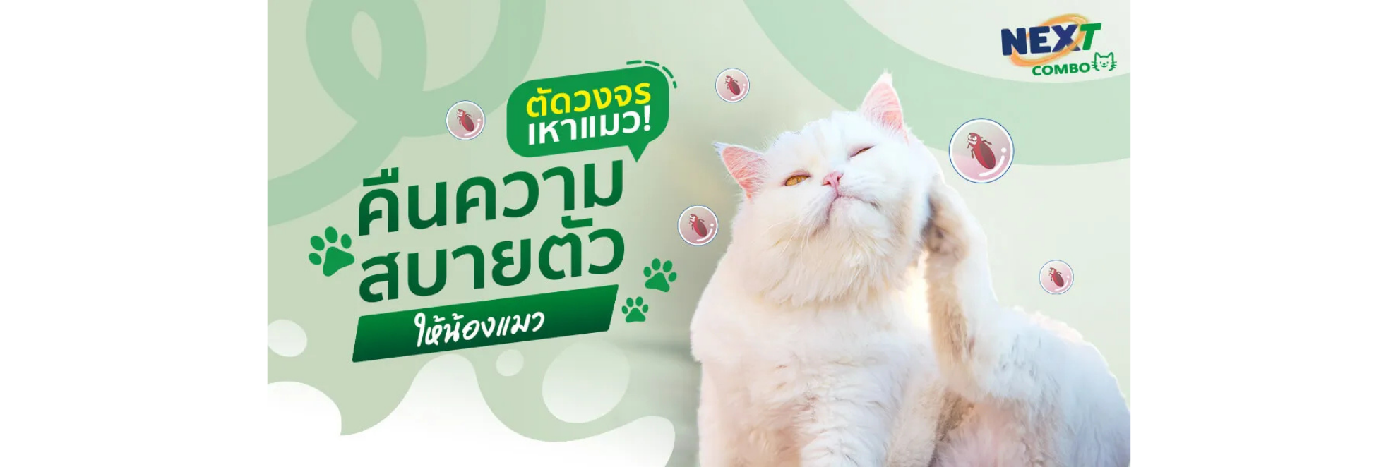เหา