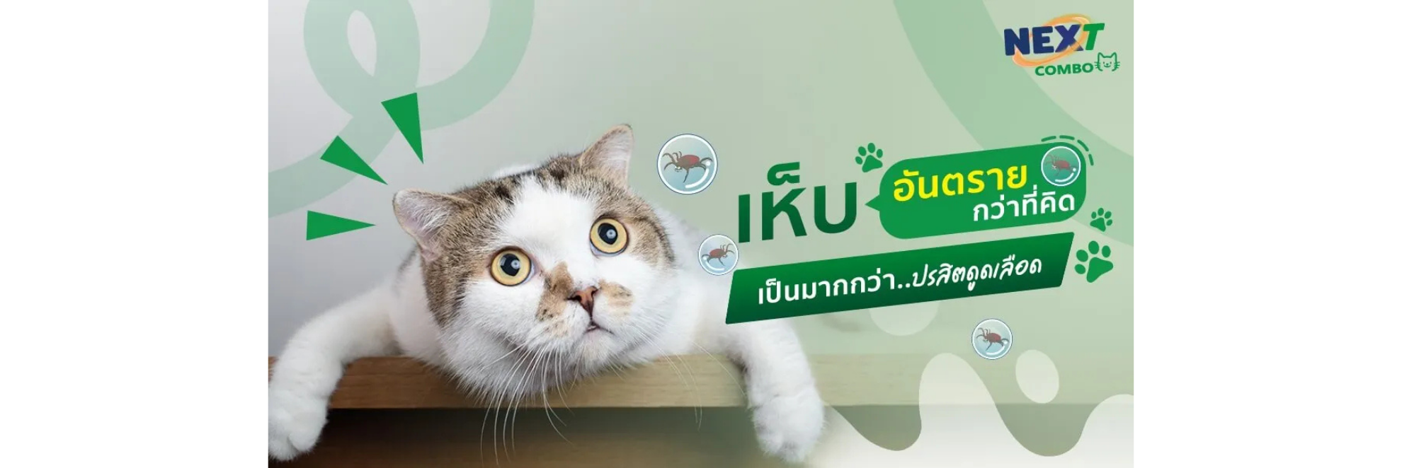 เห็บ