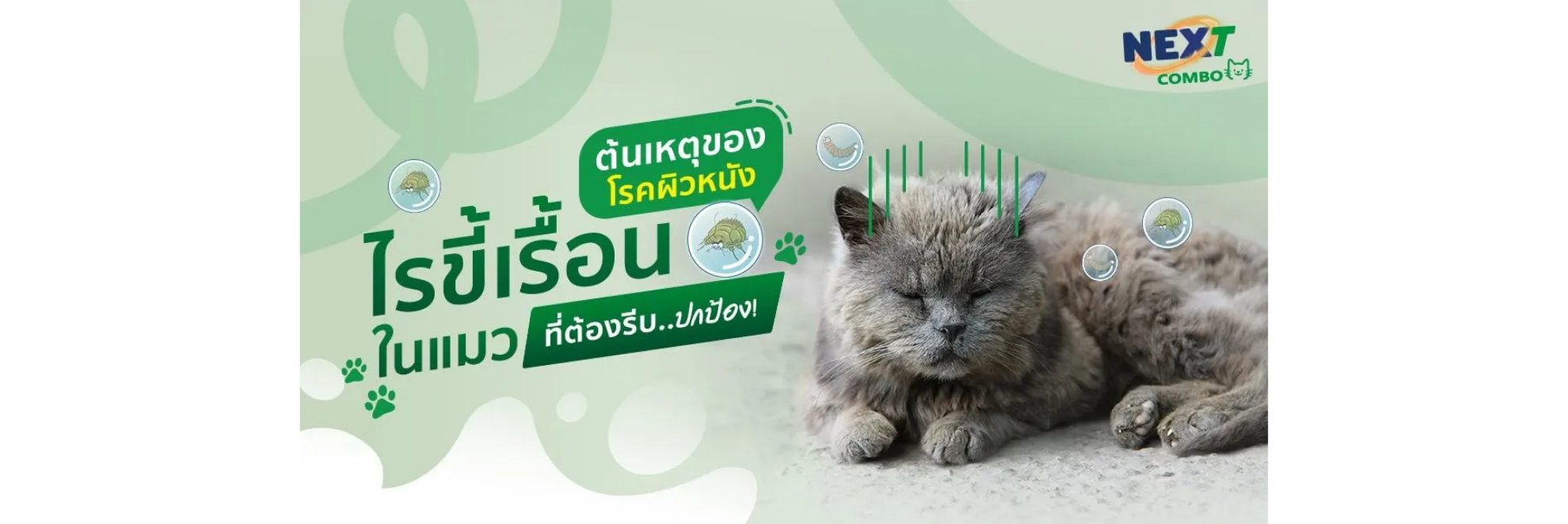 ไรขี้เรื้อน