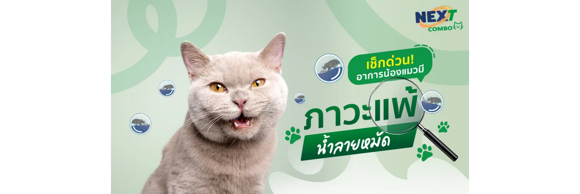 น้ำลายหมัด