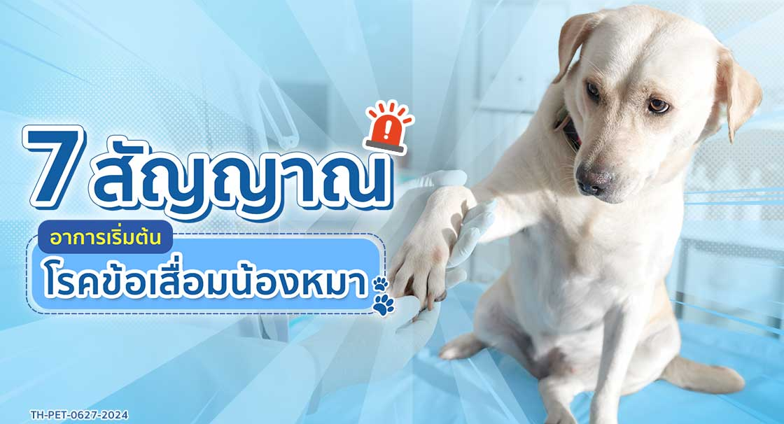 spectra_article-7-สัญญาณ-อาการเริ่มต้นโรคข้อเสื่อมน้องหมา_aw.jpg