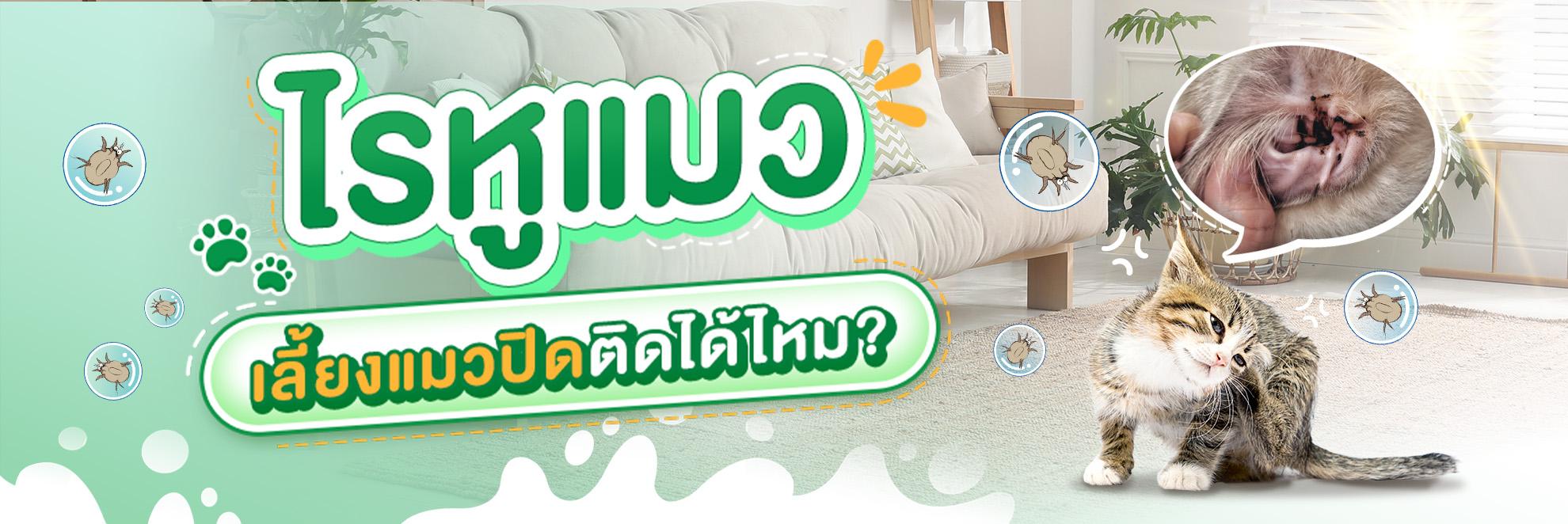 NGC_Cover Long Form_เลี้ยงในบ้านก็ไม่รอด! รู้ทันไรหูในแมวเลี้ยงปิด_1980x662.jpg