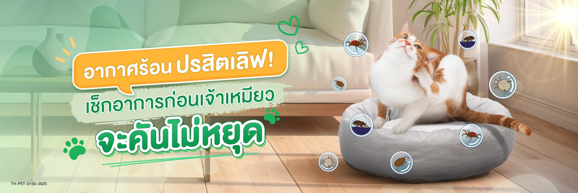  Cat parasites in summer