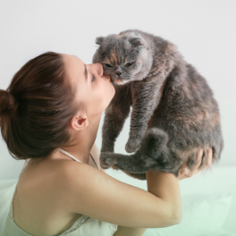kissing cat.png