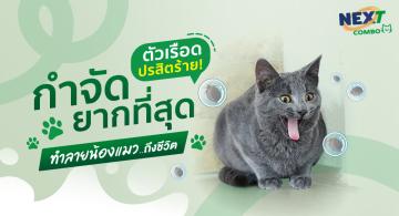 เรือด