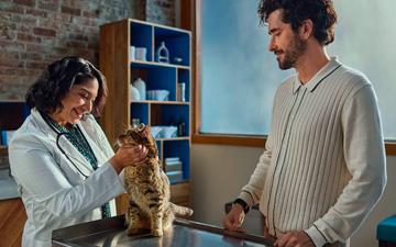 doc for cat moblie
