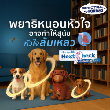 Nextcheck dog Hearworm 366 x 366