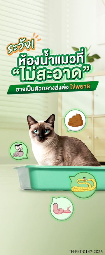 AW_NGC_360x872_ระวังห้องน้ำแมวที่ไม่สะอาด.png