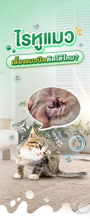 NGC_Cover Long Form_เลี้ยงในบ้านก็ไม่รอด! รู้ทันไรหูในแมวเลี้ยงปิด_360x872.jpg