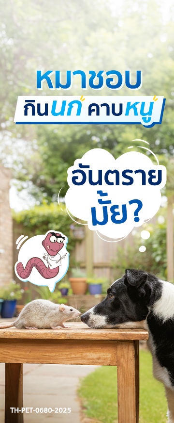 Spectra_pic Cover Long Form หมาชอบ กินนก คาบหนู_360x872 1.png