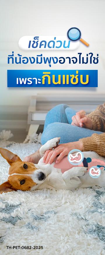 pic Cover Long Form เช็กด่วน!_ ที่น้องมีพุงอาจไม่ใช่เพราะกินแซ่บ_360x872_FN.jpg