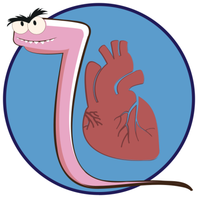 /dog/parasite/heartworm