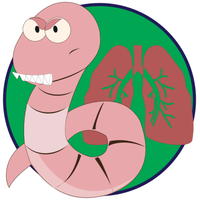 /cat/parasite/lung-roundworm