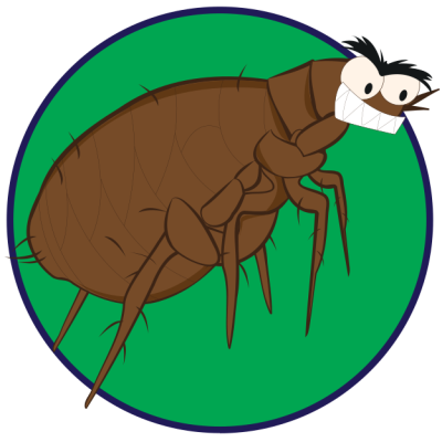 /cat/parasite/fleas