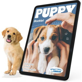 puppy booklet 615x615