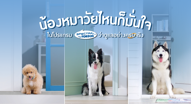 Spectra_5Apr_revise-Thumbnail-สำหรับเว็บ.png